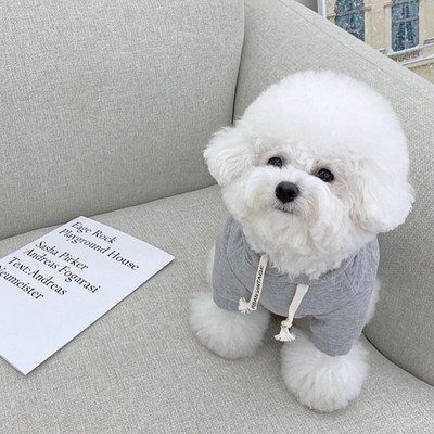 New Ins Winter Pet βαμβακερό παλτό καρό παλτό Ζεστό κουκούλα σχεδιαστής ρούχα για σκύλους Χριστουγεννιάτικα ρούχα για σκύλους Ρούχα σκυλιών για μικρά σκυλιά