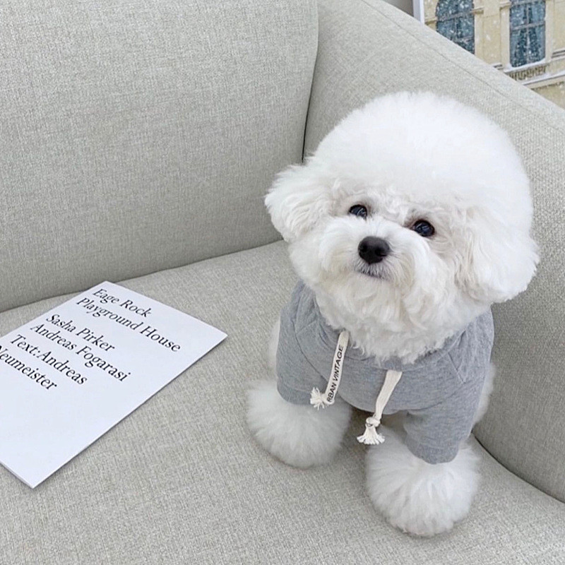 New Ins Winter Pet βαμβακερό παλτό καρό παλτό Ζεστό κουκούλα σχεδιαστής ρούχα για σκύλους Χριστουγεννιάτικα ρούχα για σκύλους Ρούχα σκυλιών για μικρά σκυλιά