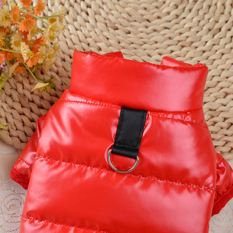 Talvised lemmikloomade koerte riided väikestele koertele Veekindel chihuahua koera mantel Yorkshire`i terjer koera talvejope kassi kutsika puuvillane kapuuts