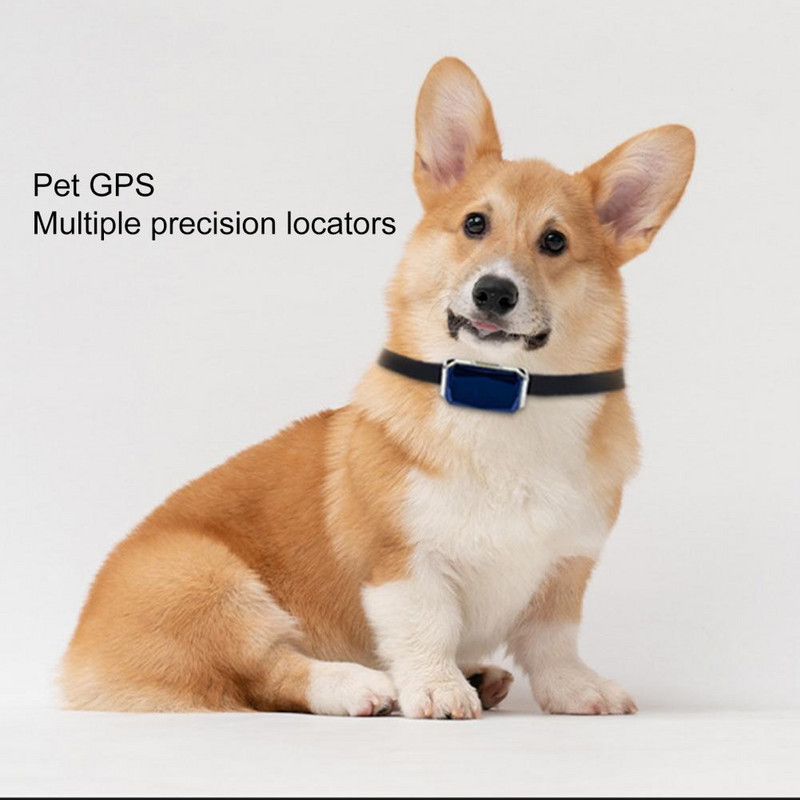 Kitty kaklasiksna praktiska mājdzīvnieku suns kaķa atrašanās vieta aktivitāšu izsekotāja kaklasiksna atrašanās vietas vēsture plastmasas kaķu izsekotāja mājdzīvnieku piederumi