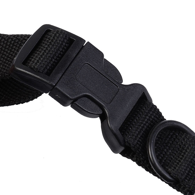 Jaunas 300 M tālvadības elektroniskās suņu apmācības kaklasiksnas ar LCD zilā ekrāna displeju, uzlādējamas 100 līmeņu mājdzīvnieku elektroniskās suņu kaklasiksnas