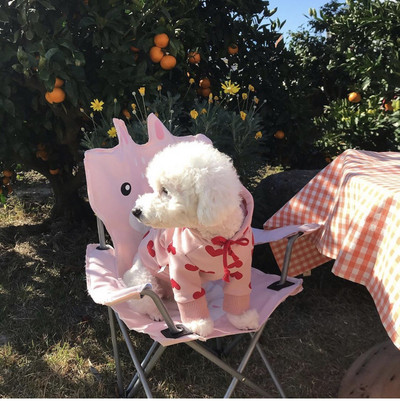 Őszi, téli kisállat szerelem kapucnis ruházat meleg és aranyos nyomtatási Love Plus bársony pulóver kapucnis Teddy Bichon kutya macska ruhák