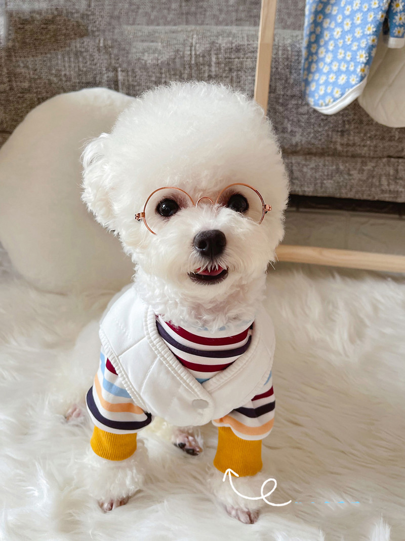 Meleg mellény Kétrészes pamutkabát Őszi és téli kölyökruha Kis és közepes kutyafenekes ing öltöny Kisállatruházat XS-XXL