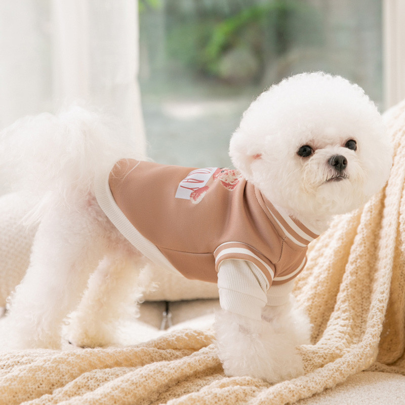 Pulover s dolčevitom za kućne ljubimce, korejska verzija, lažna dvodijelna odjeća za pse, topli pulover, jesen i zima, odjeća za štene s printom medvjeda