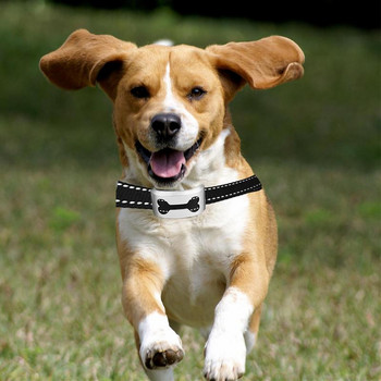 Ρυθμιζόμενο Anti Electric Αδιάβροχο Auto Barking Επαναφορτιζόμενο Shocksafe Bark Training 2021 Stop Collar Dog Control Humane Νέο