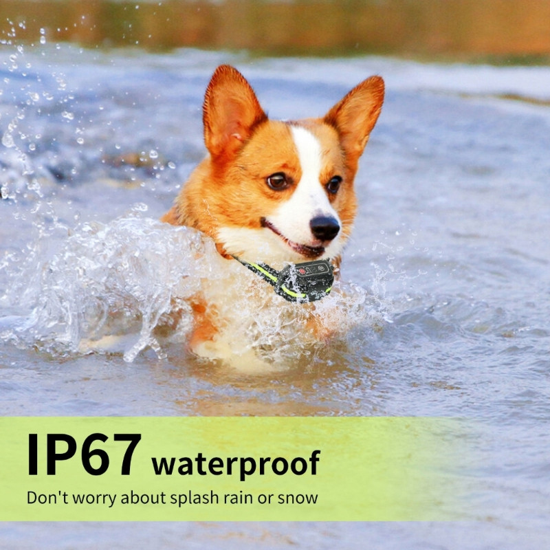Αντι γαβγίσματα Train Dogs Κολάρο ελέγχου γαβγίσματος Δονούμενο κολάρο γαβγίσματος για σκύλους αδιάβροχο γιακά σκυλιών Κολάρο γαβγίσματος σκυλιών