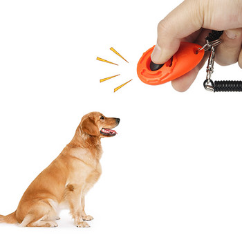 Πολύχρωμο ωοειδές κρίκερ Σχέδιο άνοιξης για κατοικίδια σκυλί με χαριτωμένο μοτίβο με οστά με πατούσες σκύλου με φορητό ηχητικό προμήθειες εκπαίδευσης κατοικίδιων
