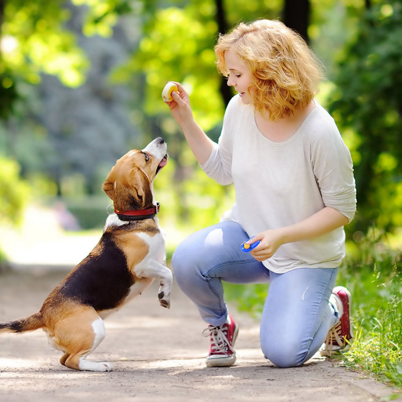 1 τμχ Εκπαιδευτικό κλικ για σκύλους κατοικίδιων γατών Plastic Dogs Click Trainer Ρυθμιζόμενο ήχου με κλειδί και ιμάντα καρπού Remote whistle clicker