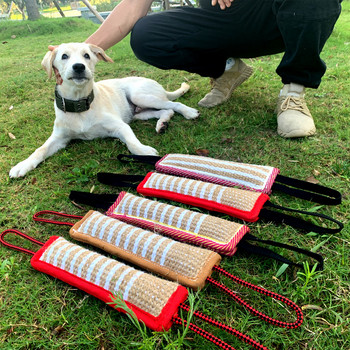 Προμήθειες εκπαίδευσης με ραβδί για δάγκωμα σκύλου, ανθεκτικά δόντια, ραβδί για μάσημα, διαδραστικά προμήθειες