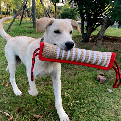 Dog Bite Stick Издръжливи зъби Пръчка за дъвчене Консумативи Играчки за кучета Интерактивни консумативи
