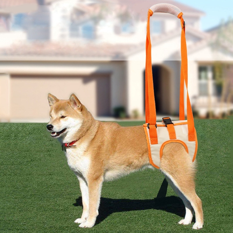 Reguliuojamas šuns pakėlimo diržas užpakalinėms kojoms augintinio atraminis diržas, padedantis stovėti silpnoms kojoms