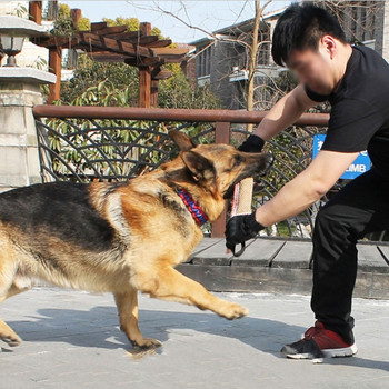 Ανθεκτικό Μαξιλάρι για Δάγκωμα Ρυμουλκών Εκπαίδευσης Σκύλων με 2 Λαβές Σχοινιού.