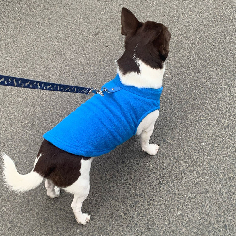 Žiemos šuniuko liemenė šuns megztinis Šiltas vilnonis megztinis šunų striukė su žiedu šunų gobtuvai naminiai drabužiai mažiems šunims berniukui ar mergaitei