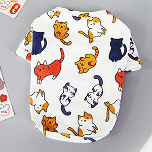 Vilnos drabužiai šunims Rudens žiemos žieminiai šunų gobtuvai marškinėliai mažiems ir vidutiniams šunims Čihuahua Yorkie šuniukas kačiuko megztinis Megztinis Bichon