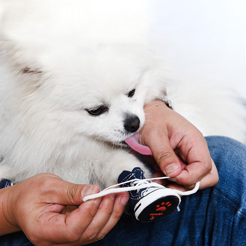 4 vnt Neslystantys džinsiniai drobiniai batai šunims naminiams gyvūnėliams batai vandeniui atsparūs batai sportbačiai, kvėpuojantys batai šunims, kojinės, reikmenys augintiniams
