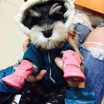 Най-продавани топли зимни обувки за домашни любимци за малки кучета Нехлъзгащи се ботуши за сняг за кучета и котки Чихуахуа Обувки за ши-тцу mascotas Zapatos Perro