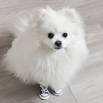 Модни сладки ежедневни стилове Противоплъзгащи се за малки кучета, котки Дишащи домашни обувки от деним Обувки за кучета обувки за домашни любимци Маратонки за кученца