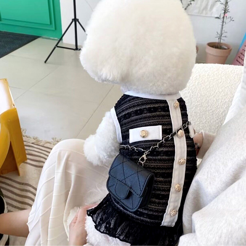 Pavasara vasara mājdzīvnieku drēbes kaķēnu kucēnu sieta elpojoši svārki Maziem un vidējiem suņiem Jauki princeses svārki Chihuahua Yorkshire