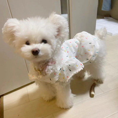 Punktu princese kleita mājdzīvnieku suns apģērbs kaķu apdruka Svārki apģērbi suņi tievi mazi čivava Vasaras melni balti elpojoši mopsis