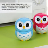 Karikatūra Pūce Mācīšanās Mehāniskais Laika taimeris 60 Minūtes Virtuves gatavošana Cepeškrāsns Mehāniskais taimeris Atpakaļskaitīšanas pulkstenis Mājas dekors