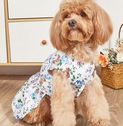 2022. gada jauns mājdzīvnieku apģērbs Vasaras svaigi rūtaini mājdzīvnieku svārki kaķim sunim plānas elpojošas vasaras kleitas Yorkie apģērbi kucēnu apģērbi 강아지옷