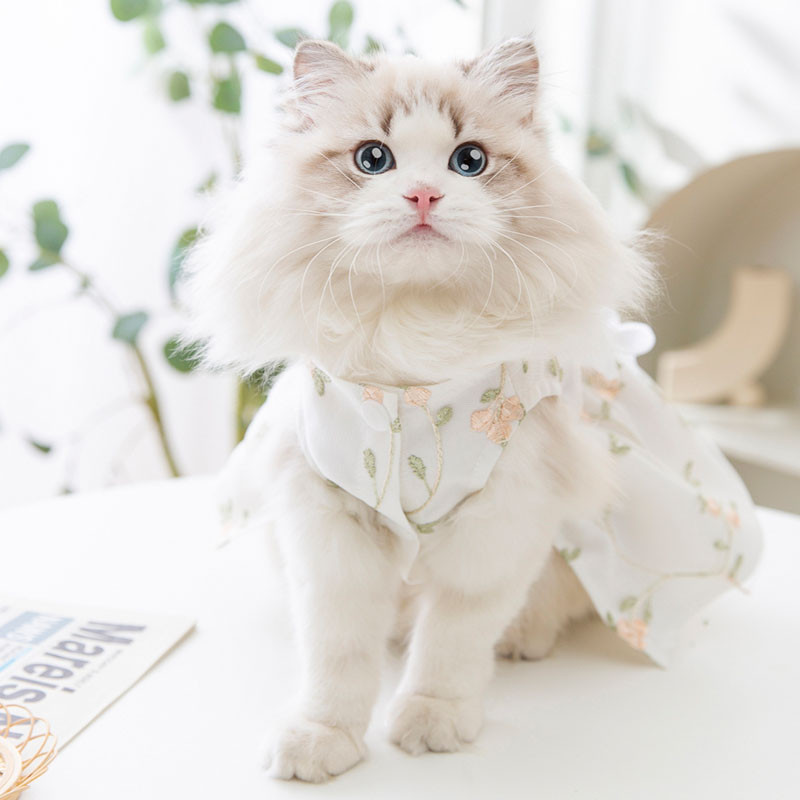 Mājdzīvnieku ziedu svārki Princeses stila kucēnu drēbes Vasaras plānas kleitas Bichon sieta apģērbi Forši suņu apģērbi XS-XL