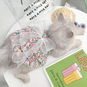 Jauka kucēna princeses kleita Mājdzīvnieku puķaini svārki suns kaķis kokvilnas bikšturi mežģīnes Tills bez piedurknēm mētelis apģērbs kūka kleita ar bantīti