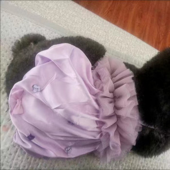 INS Small Dog Cat Pet Αυθεντικά ρούχα Κρυστάλλινα πεταλούδα με χάντρες φούστα παπιγιόν Ανοιξιάτικη/Καλοκαιρινή ένδυση Φορέματα σκυλιών για μικρά σκυλιά