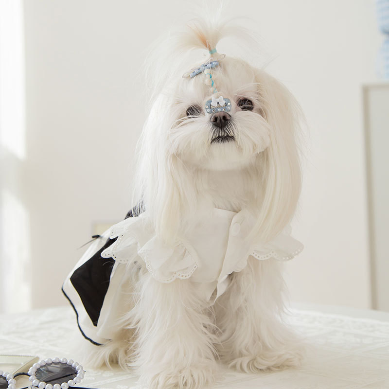 Suņu apģērbi Mājdzīvnieku piederumi Kāzu uzvalka kleita Pērļu melna bantīšu svārki kucēnu apģērbi Pomerānijas kaķa princeses svārki suņa kleita