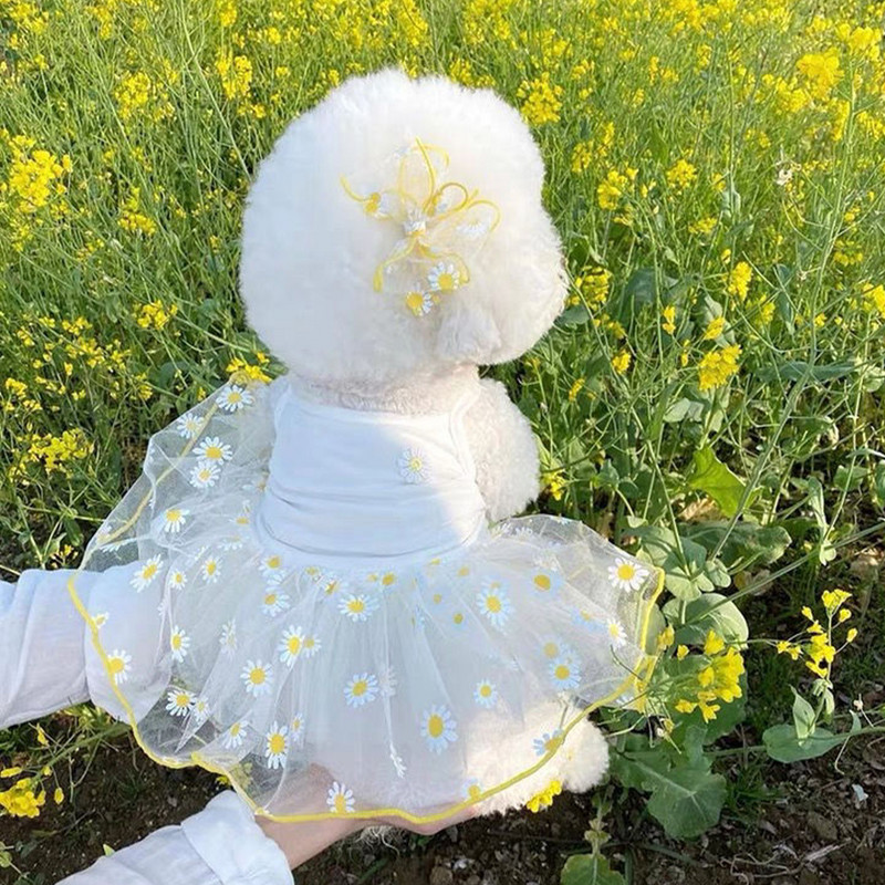 Zemeņu suns Kleita Mājdzīvnieku Apģērbs Suskariņi Svārki Suņa Kostīms Princeses Kleita Maza Suņa Plāna Vasaras Suņa Svārki Jorkšīras