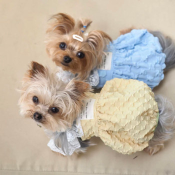 Φόρεμα φυσαλίδων Ενδύματα κατοικίδιων ζώων Φούστα κρεμάστρα για σκύλους Στολή Μικρό γαλλικό μπουλντόγκ Χαριτωμένο καλοκαιρινό μπλε κορίτσι μασκότ