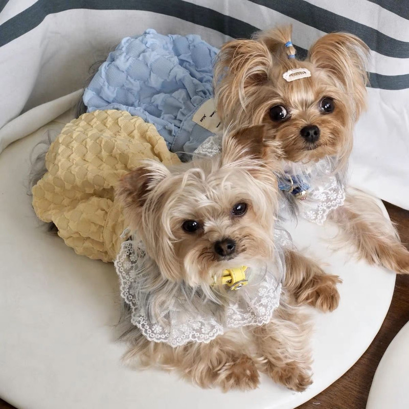 Mullikleit Lemmikloomarõivad Koerte Suspender seelik Koerariietele Kostüüm Väike prantsuse buldog armas suvine tüdruk maskotid