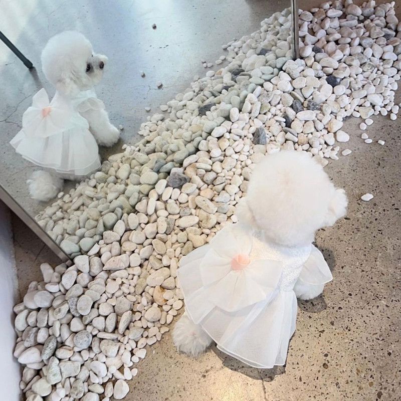 Armas suvine koerakleit Pulmakleit Koerte riietus Kassipidu Suvine õhuke Elegantne Tüdruk Lemmikprintsess Kleit Kutsika Seelik Kaisu