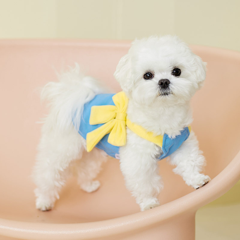 Kutsikate suvi Armsate koerte riided Lemmikloom Vibu Koera Vest Võitluskarud Koerad Riietatud Lemmiklooma koera riided Seelik Koera riided väikestele koertele