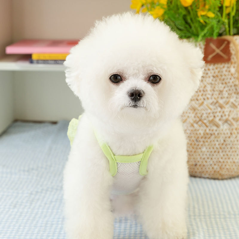 Daisy võrkkleit Lemmikloomakoerte riided Vest koertele Riietus Väikese kirjaga õhuke suvemood kutsikavõrk Suspender Kleit Koerte Riided