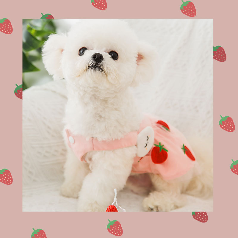 Jauki pavasara vasaras mājdzīvnieku apģērbi kaķēns kucēns veste marles svārki mazi vidēja lieluma suns salda princeses kleita Chihuahua Jorkšīras