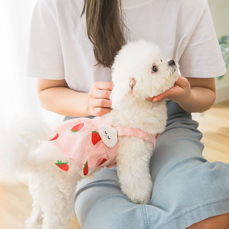 Jauki pavasara vasaras mājdzīvnieku apģērbi kaķēns kucēns veste marles svārki mazi vidēja lieluma suns salda princeses kleita Chihuahua Jorkšīras