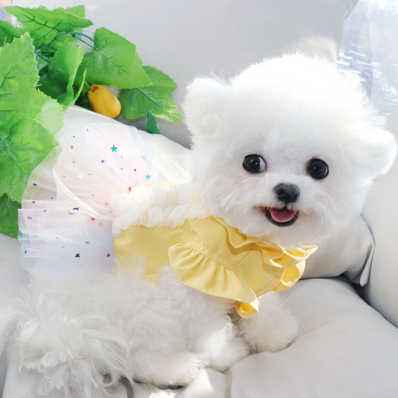 2023. gada tills suņu kleitas maziem suņiem Mājdzīvnieku apģērbi Kucēnu suņu kleitas Suņiem Izsmalcināti Apģērbi Suņu Kleita Svārki Ropa Para Perros Chihuahua