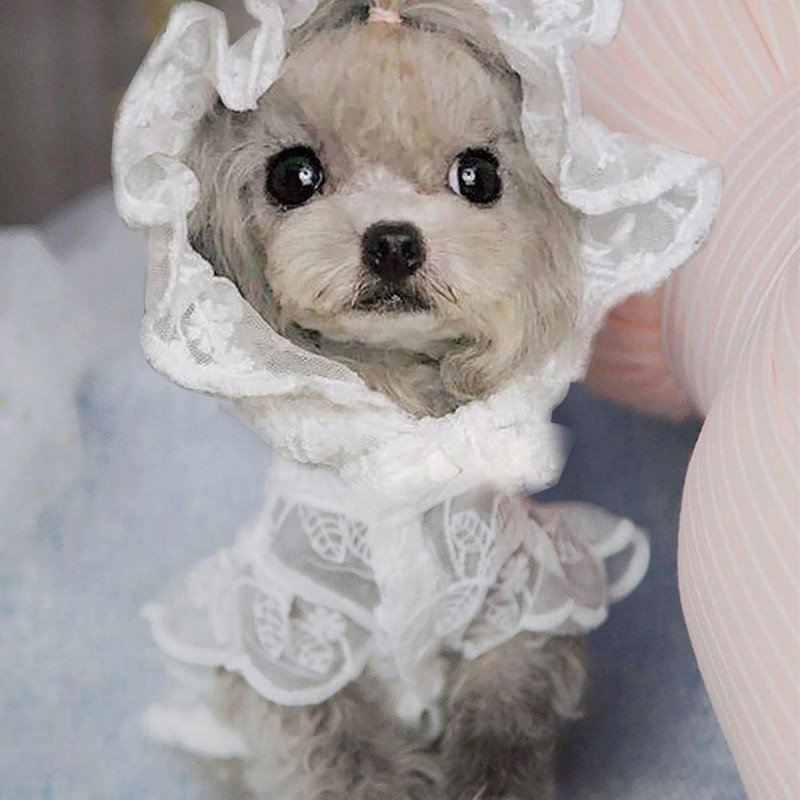 Ērta, eleganta mājdzīvnieka mežģīņu cepure elpojoša Izskatīga mājdzīvnieka kleita Dekoratīvi apaļa kakla kucēna mežģīņu svārki suņu piederumiem