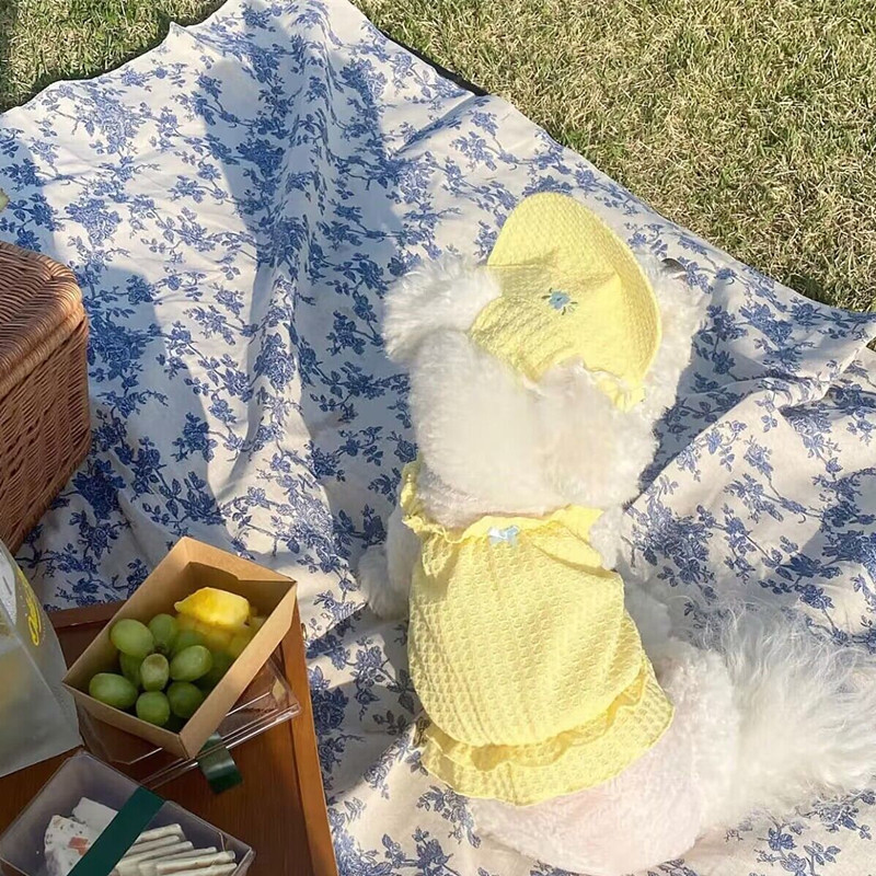 Mazie suņu bikšturi Dzelteni suņa svārki vasaras mājdzīvnieku apģērbi nekā lāča kleita kucēns Foršs džemperis, jauki mājdzīvnieku piederumi