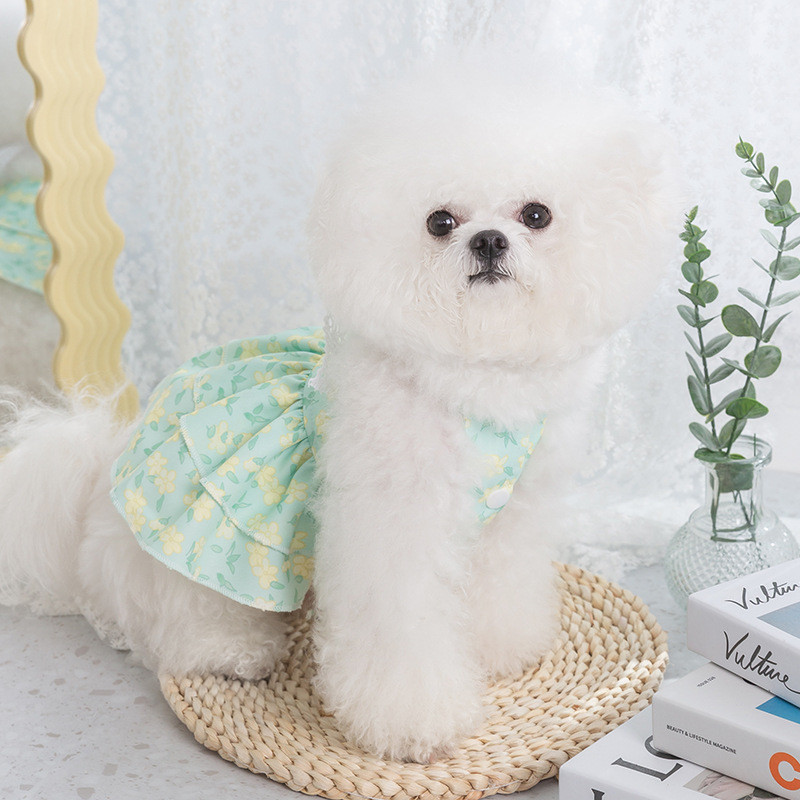 Puķaina princeses kleita Pavasara vasara mājdzīvnieku suņu apģērbi Saldi mājdzīvnieku apģērbi Bišons Jorkšīras mīļi apdrukāti kucēna kaķa svārki plāni svārki