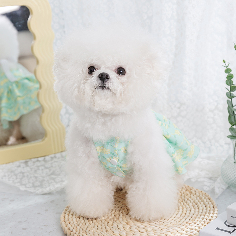 Puķaina princeses kleita Pavasara vasara mājdzīvnieku suņu apģērbi Saldi mājdzīvnieku apģērbi Bišons Jorkšīras mīļi apdrukāti kucēna kaķa svārki plāni svārki