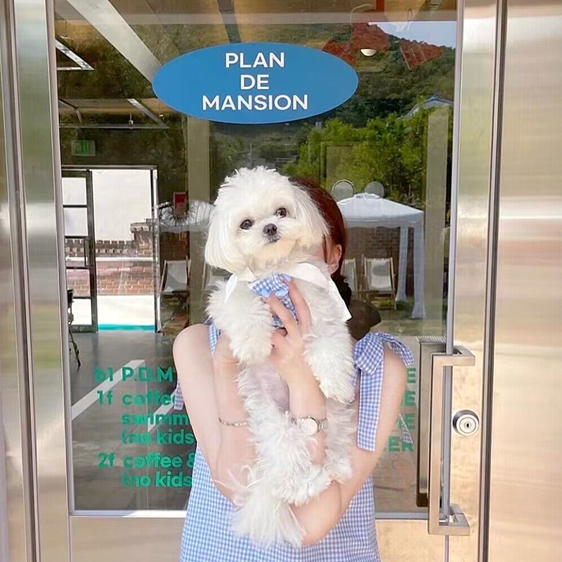 Loka mājdzīvnieku svārki Rotaļu krekls, nevis lācis Vasaras apģērbi Kucēnu kleita Mode Suņu apģērbi Mājdzīvnieku piederumi