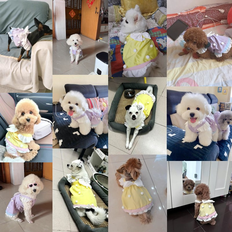 Modes kleita suņiem maziem un vidējiem suņiem jauks kucēns princeses svārki priekšgala kaķis lidojošas piedurknes svārki mājdzīvnieku kleita čivavas suņu apģērbs