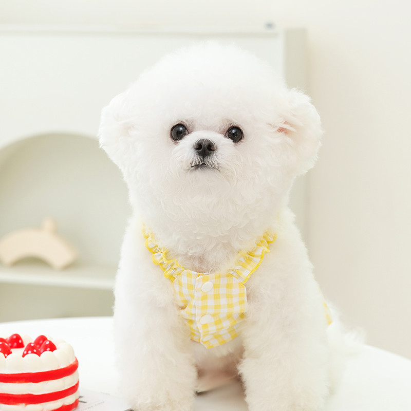 Kucēns Vasaras Mode Jauki Plaids Vilces siksna Svārki Suns Mājdzīvnieku Apģērbs Kleita Suņi Apģērbi Kaķis Sīki Izdrukas Jauka Meitene Jorkšīra