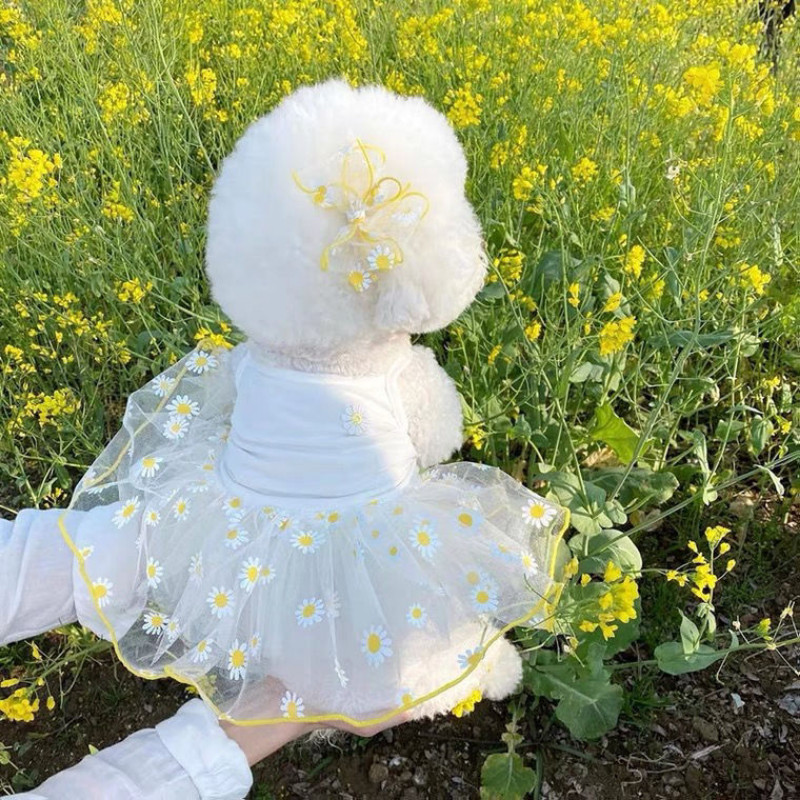 Vasaras zemeņu kleita suns mājdzīvnieku apģērbs iekaramie svārki suņiem apģērbi kaķim ar sīkiem burtiem jauki sieta suņiem kleita mājdzīvnieku apģērbi