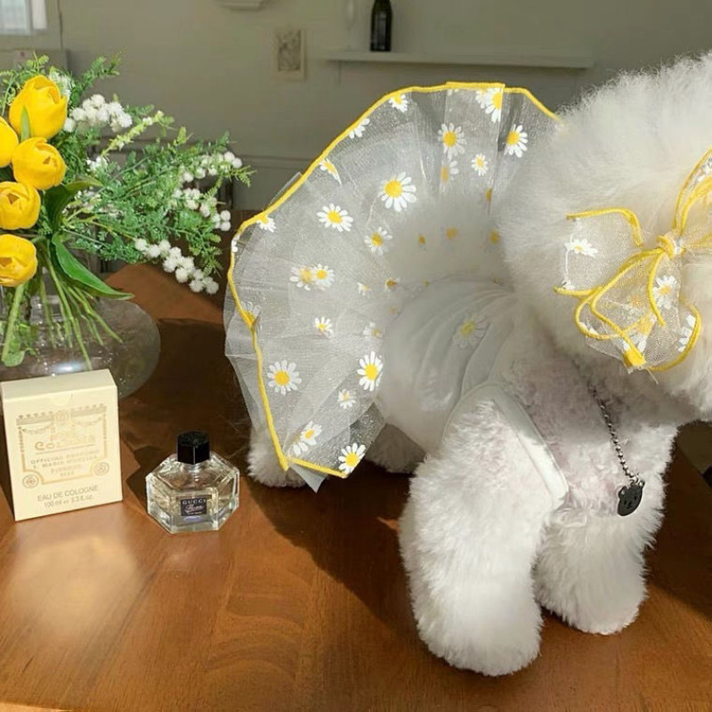 Vasaras zemeņu kleita suns mājdzīvnieku apģērbs iekaramie svārki suņiem apģērbi kaķim ar sīkiem burtiem jauki sieta suņiem kleita mājdzīvnieku apģērbi