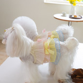 Forever Pet Town Rainbow Šifona kūka Kārtaini suņu svārki Mājdzīvnieku kaķu suņu rotaļu svārki Japāņu korejiešu modes mājdzīvnieku apģērbi kucēna kleita