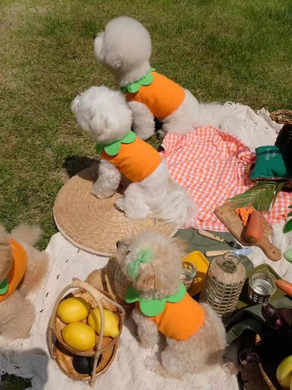 Kokvilnas Vasaras Cosplay Pet Transformation Burkānu Īsā Veste Jauki Lācītis Kaķu Suņu Apģērbi Kleitas Maziem Suņiem Mascotas