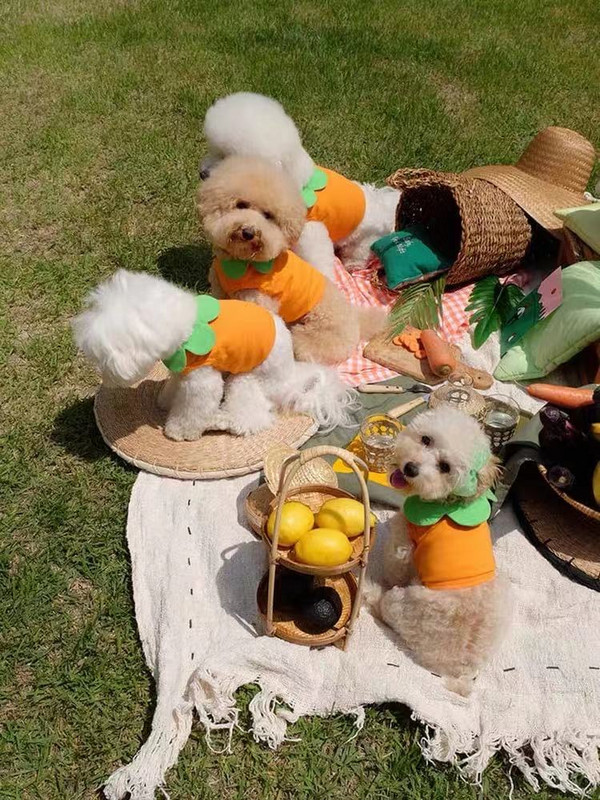 Kokvilnas Vasaras Cosplay Pet Transformation Burkānu Īsā Veste Jauki Lācītis Kaķu Suņu Apģērbi Kleitas Maziem Suņiem Mascotas